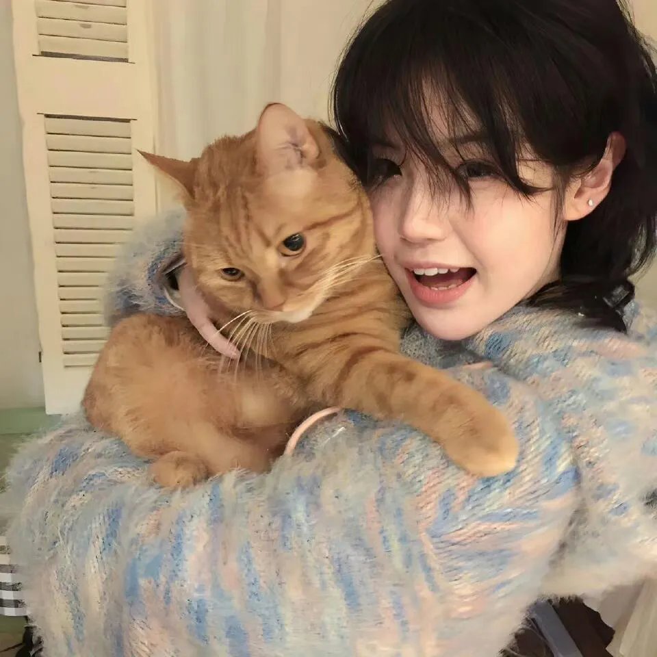 龙珠Z剧场版12：复活的融合!! 悟空和贝吉塔